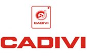 cadivi upload 1